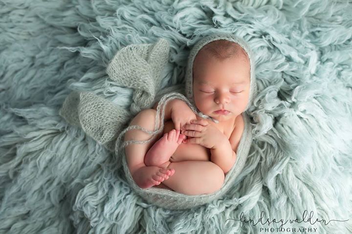 newborn baby boy in blue dallas newborn photographer