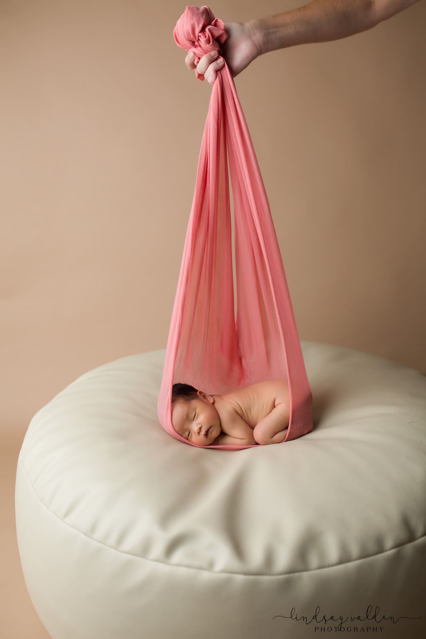 newborn girl hanging branch dallas newborn photographer