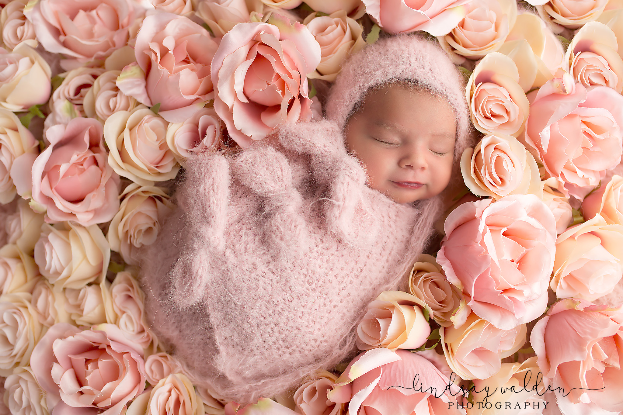 newborn girl flowers fort worth newborn photographer