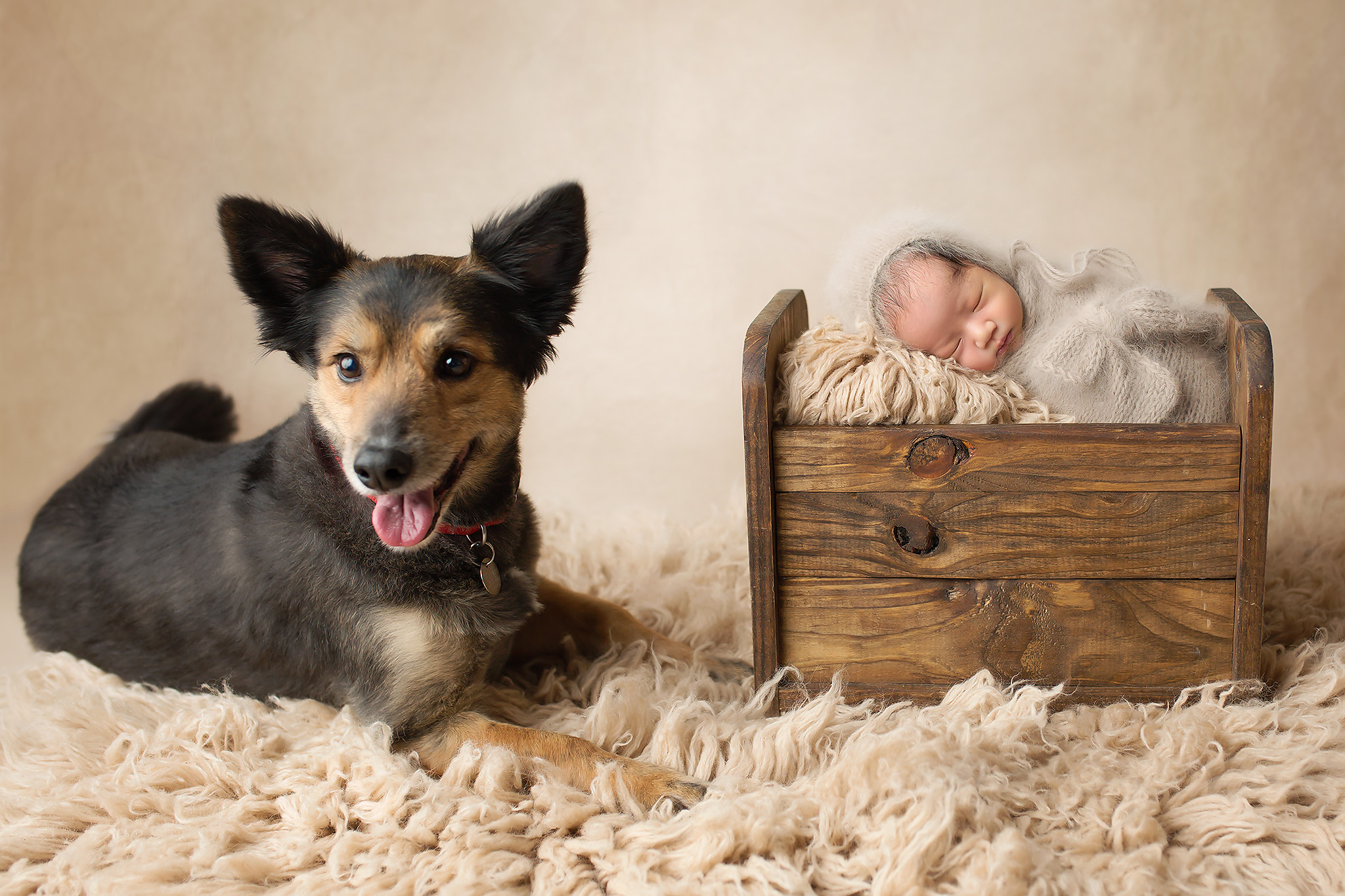 newborn with dog fort worth newborn photographer