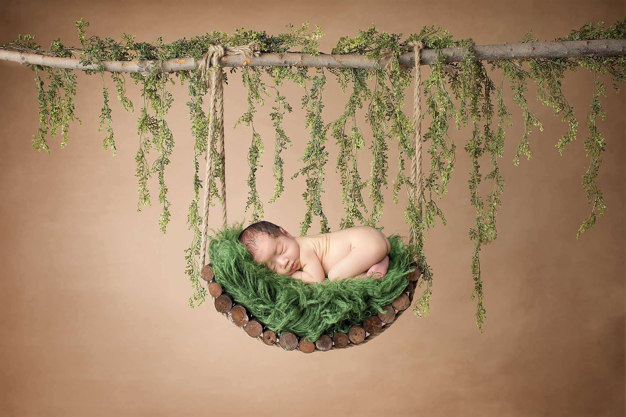 newborn boy hanging branch fort worth newborn photographer