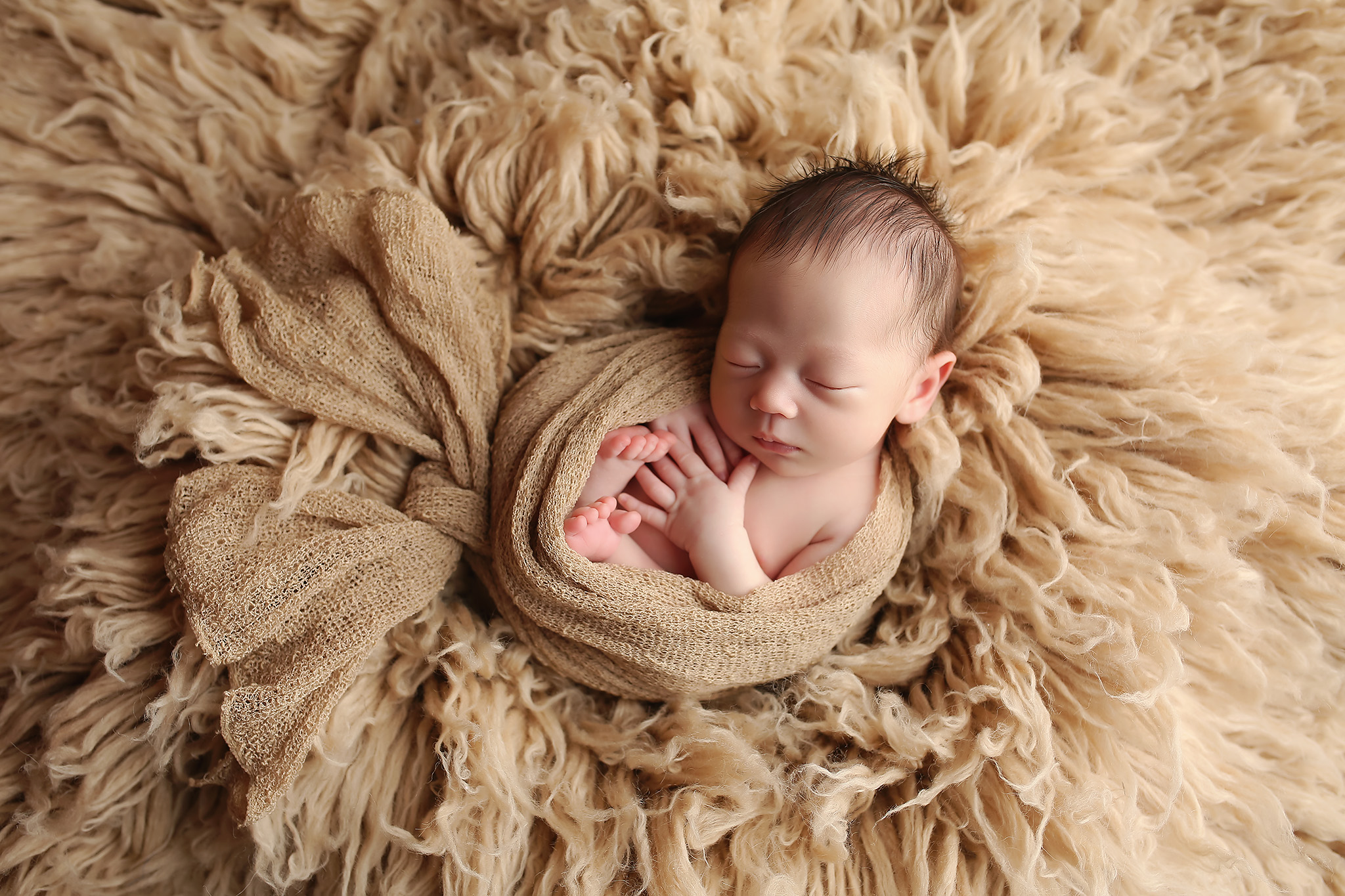 dallas newborn photographer baby boy in brown