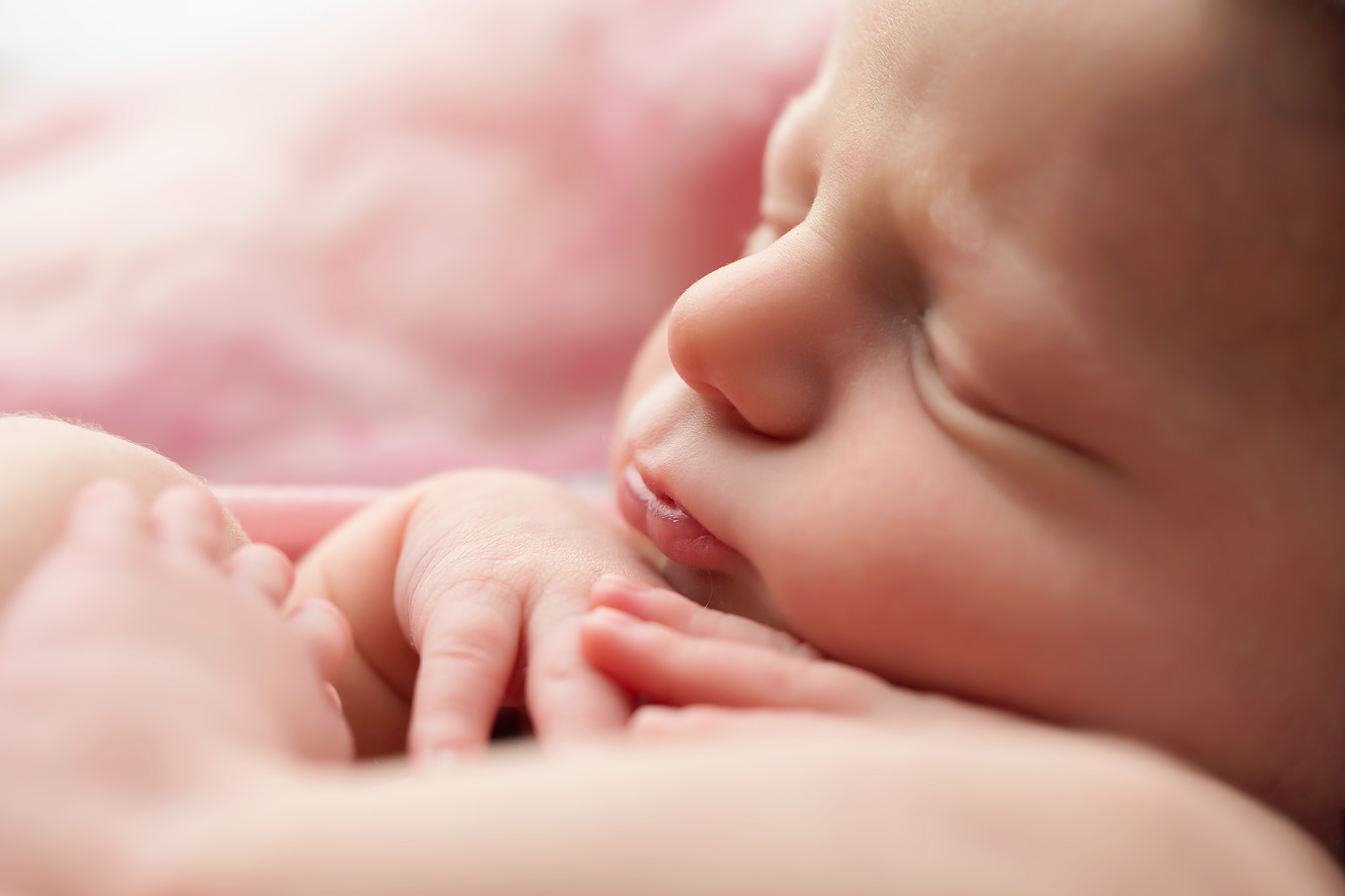 newborn in pink dallas newborn photographer