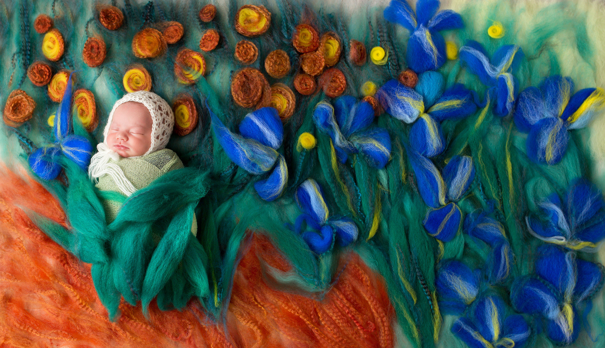 newborn baby girl Van Gogh Irises masterpiece collection Colleyville photography