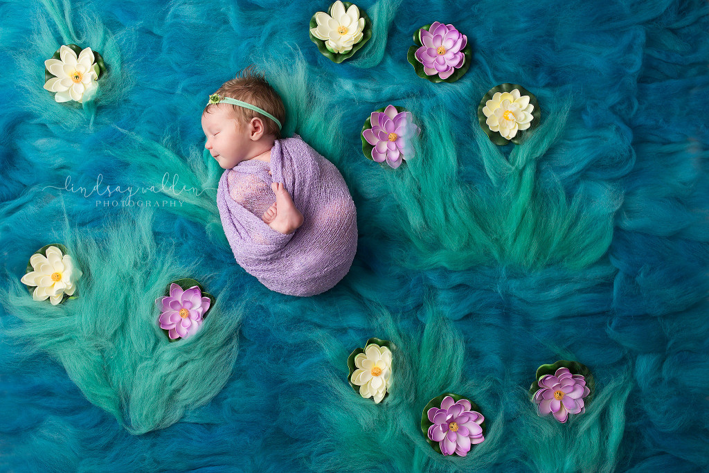 Lindsay Walden Photography - Newborn Photography Masterpiece