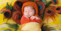 newborn baby girl Van Gogh Sunflowers masterpiece collection Dallas photography