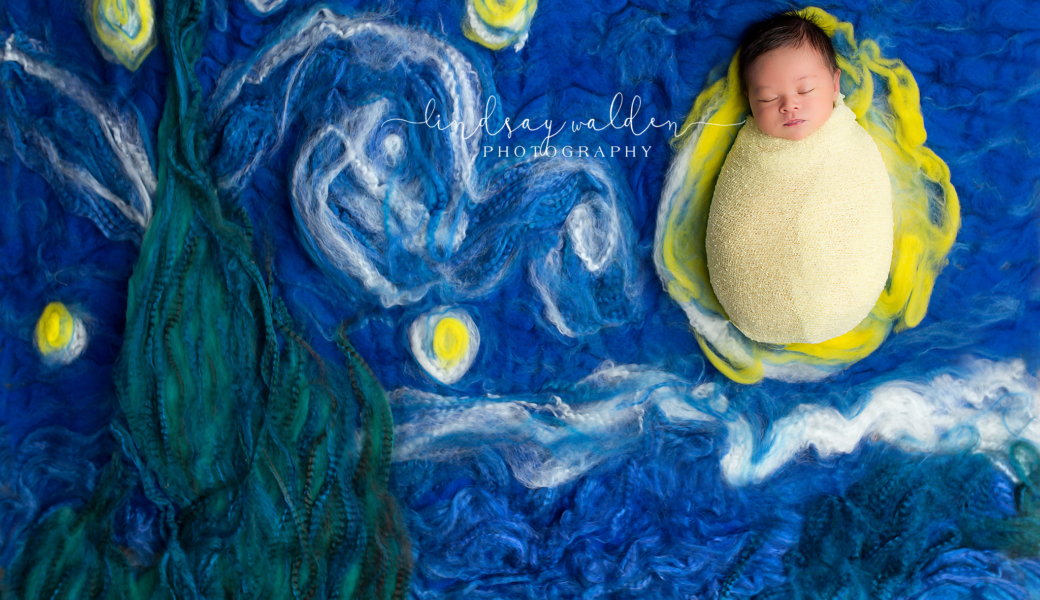 baby boy Vincent Van Gogh Starry Night masterpiece collection Dallas newborn photographer