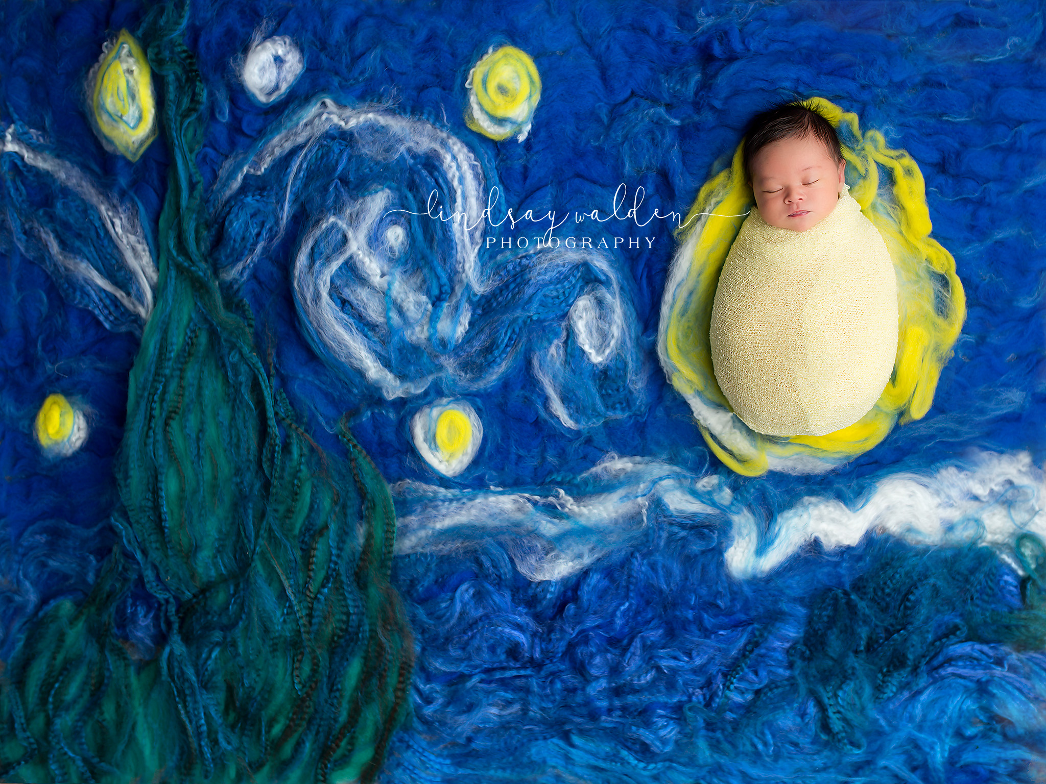 baby boy Vincent Van Gogh Starry Night masterpiece collection Dallas newborn photographer