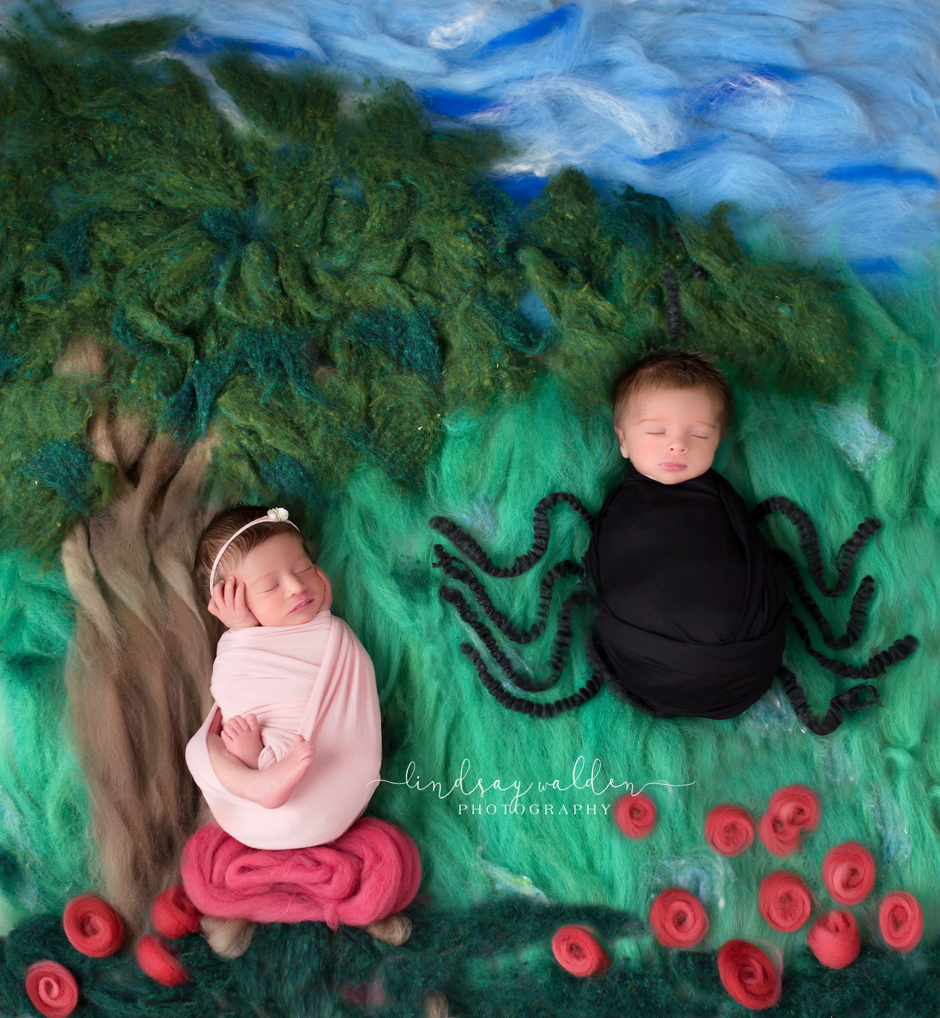 twins baby boy girl masterpiece collection Little Miss Muffet Fort Worth photography