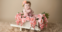 baby girl roses classic elegant sitter Colleyville photography