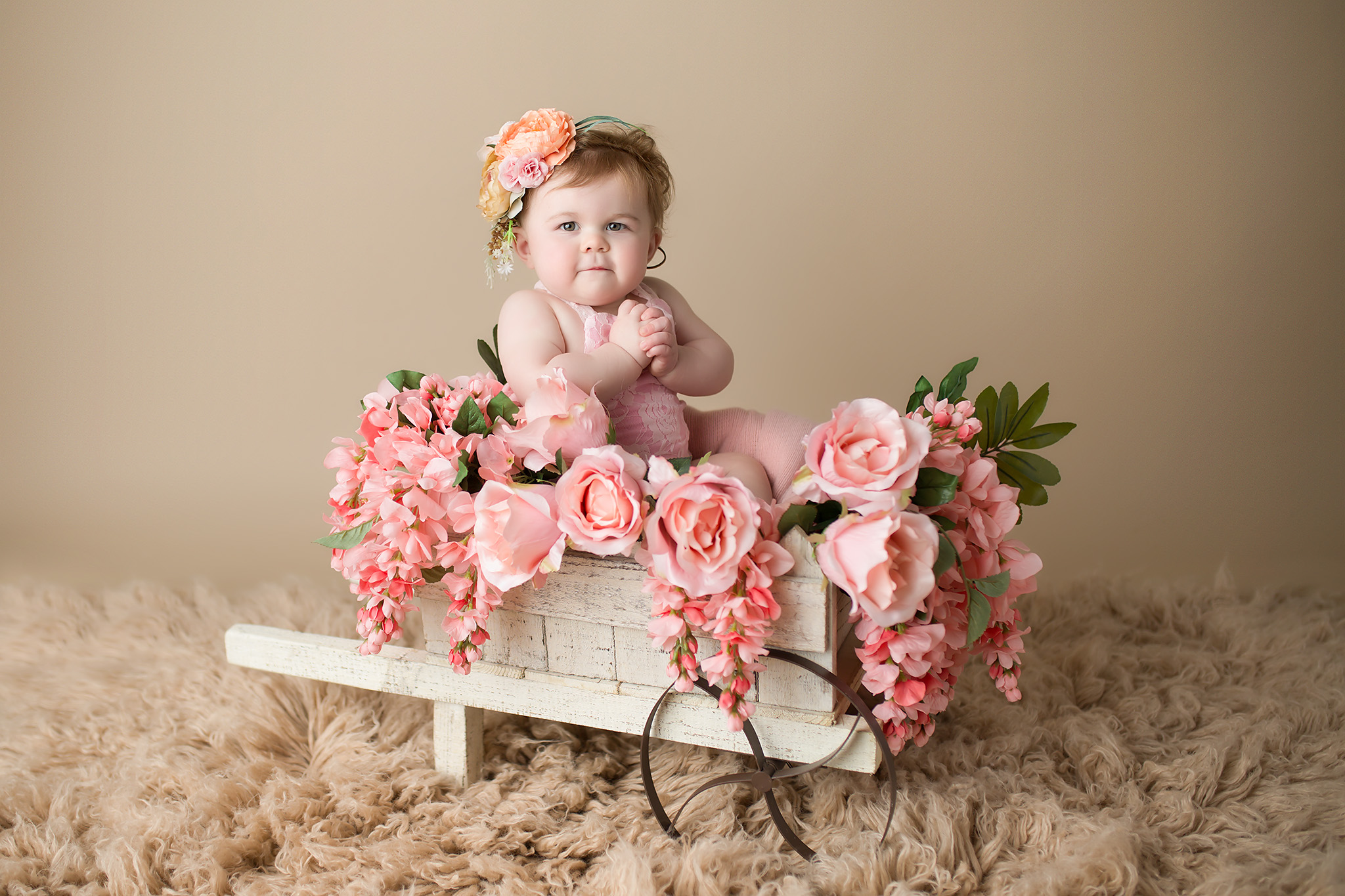 baby girl roses classic elegant sitter Colleyville photography