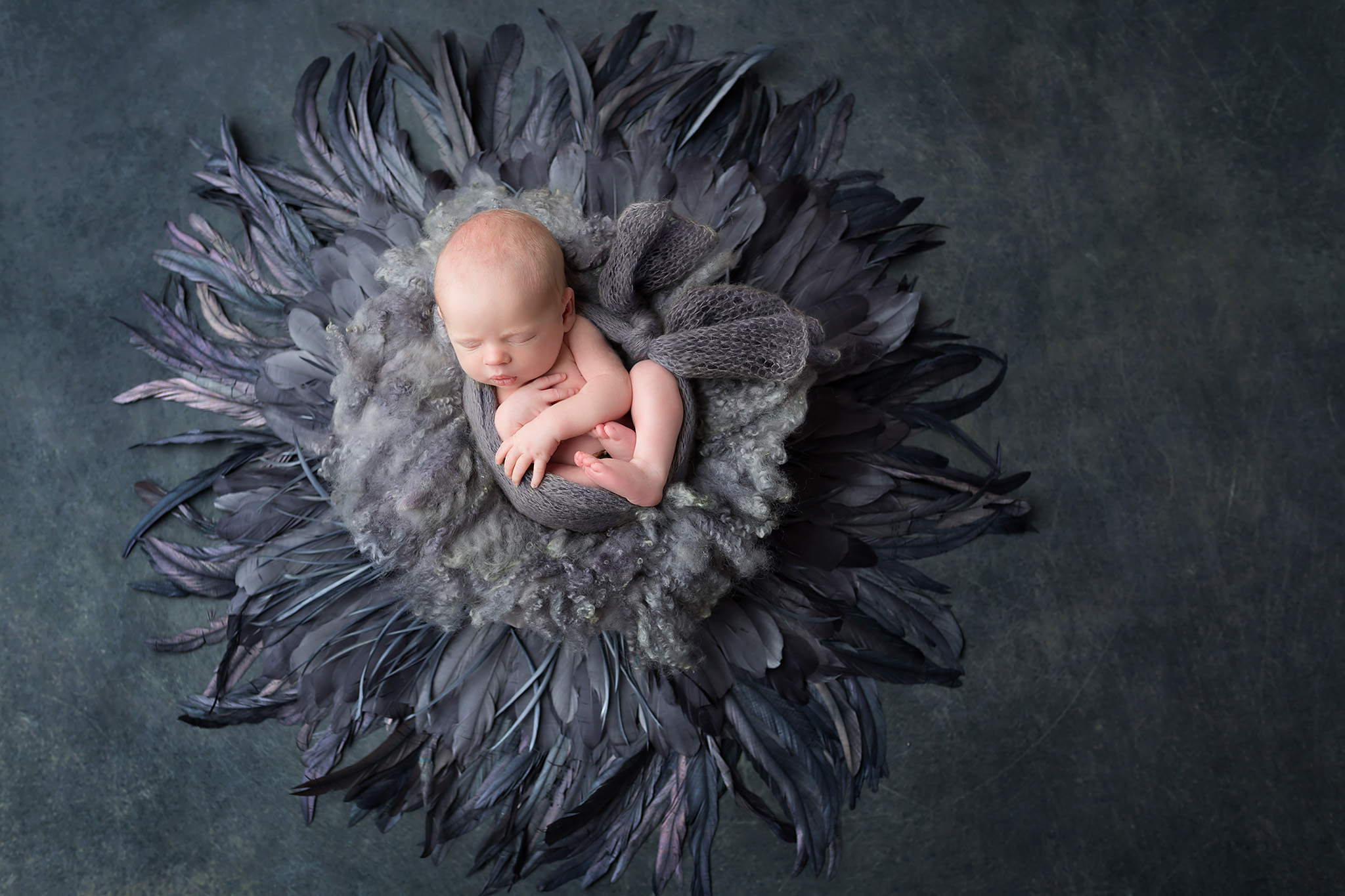 baby boy elegant sophisticated simple eye-catching grey feathers Dallas photography