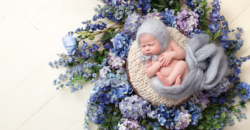 baby girl bluebonnets rustic classic sophisticated garden flowers Fort Worth photography