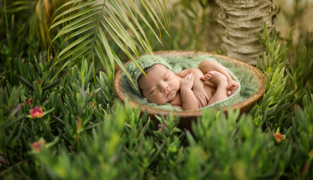 Jedi Baby Images • Lindsay Walden Photography • Dallas Fort Worth