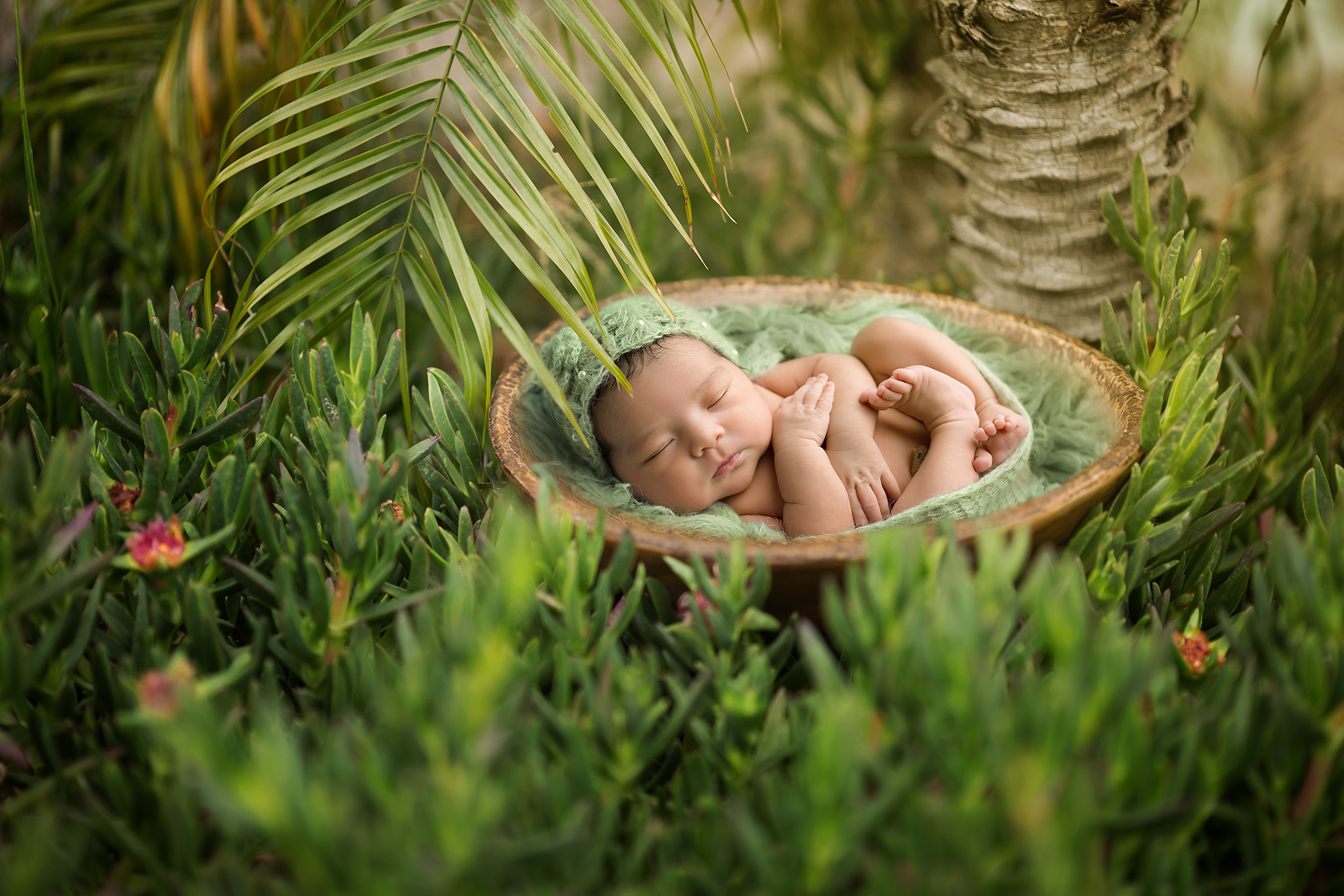 newborn baby girl composite tropical Fort Worth photography