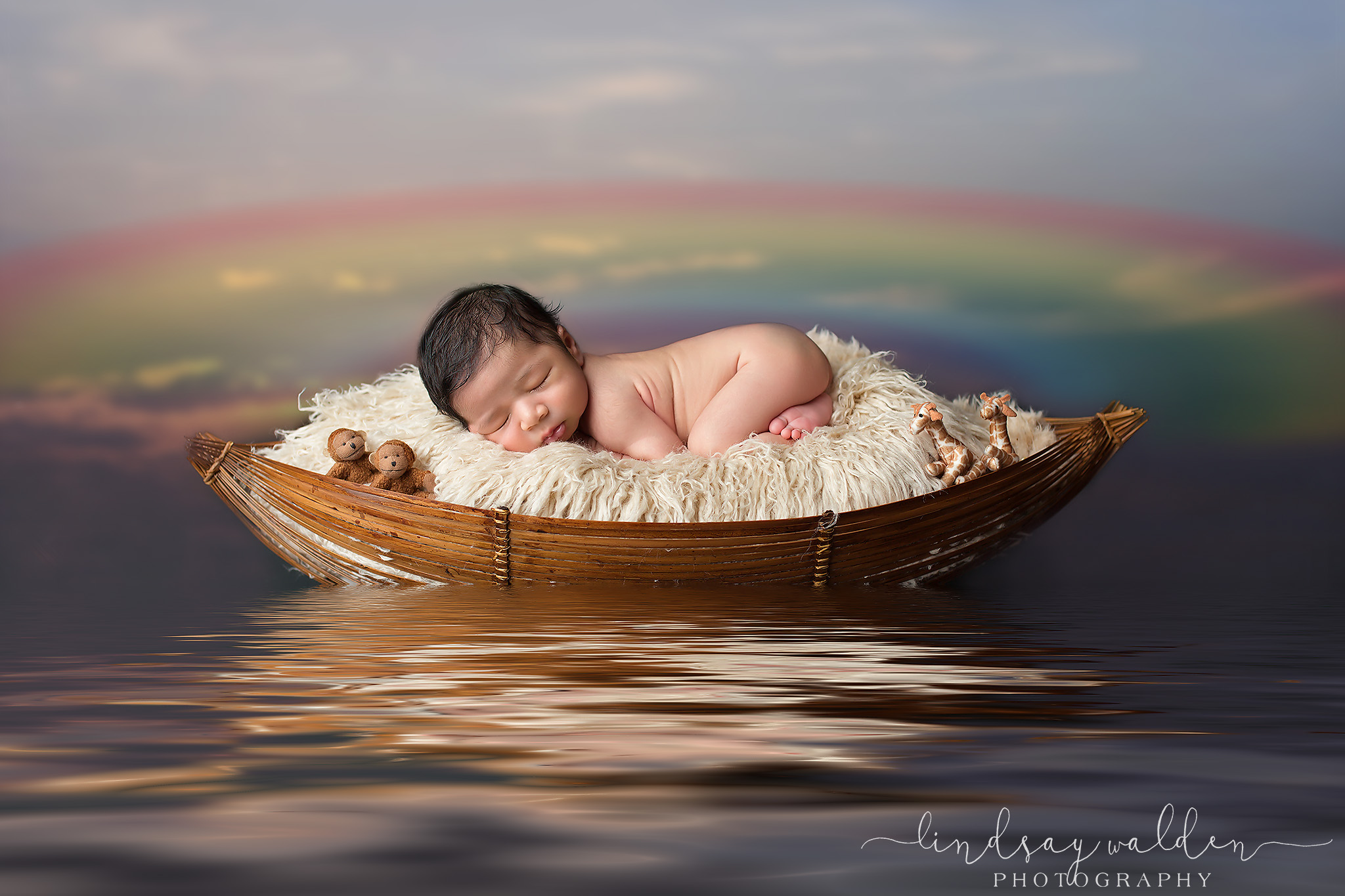 newborn boy noah's ark colleyville photographer