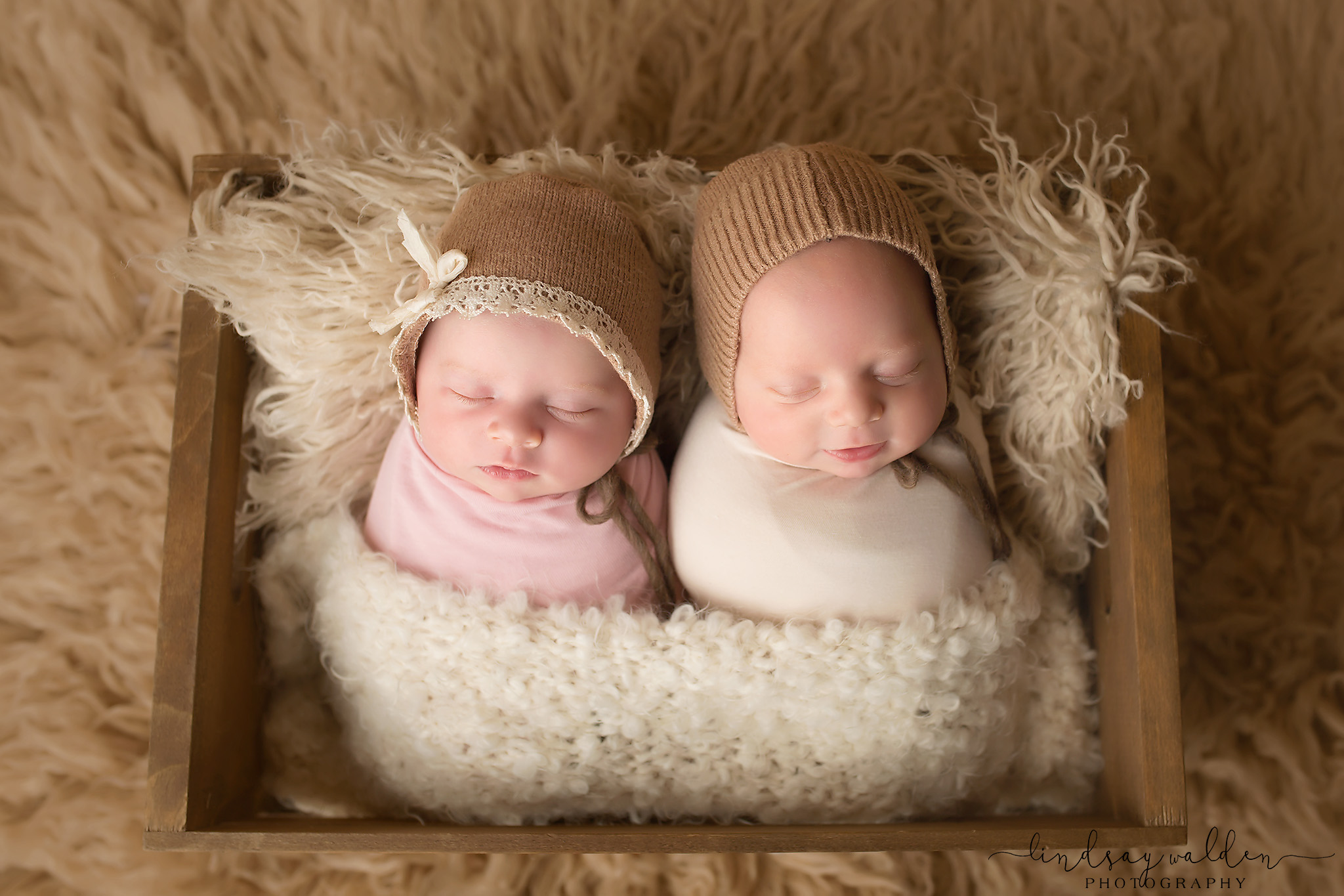 newborn twins dallas newborn photographer