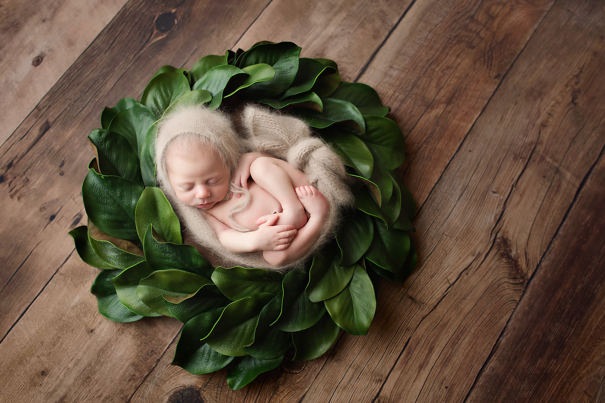 newborn boy brown floor green wreath hurst texas