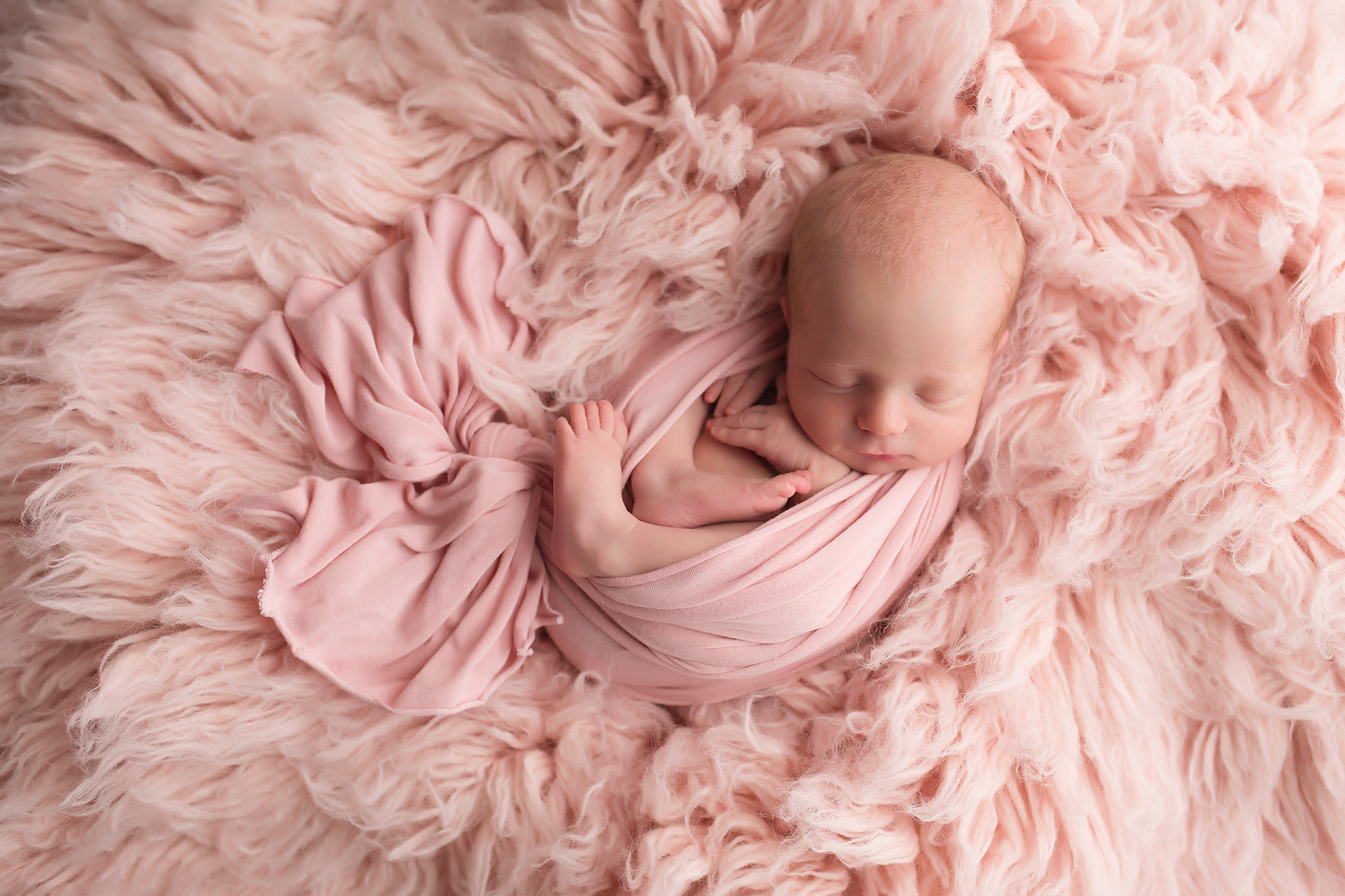 newborn in pink dallas newborn photographer