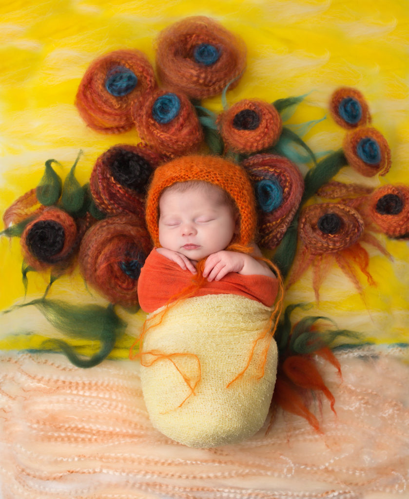 sunflowers newborn photo dallas