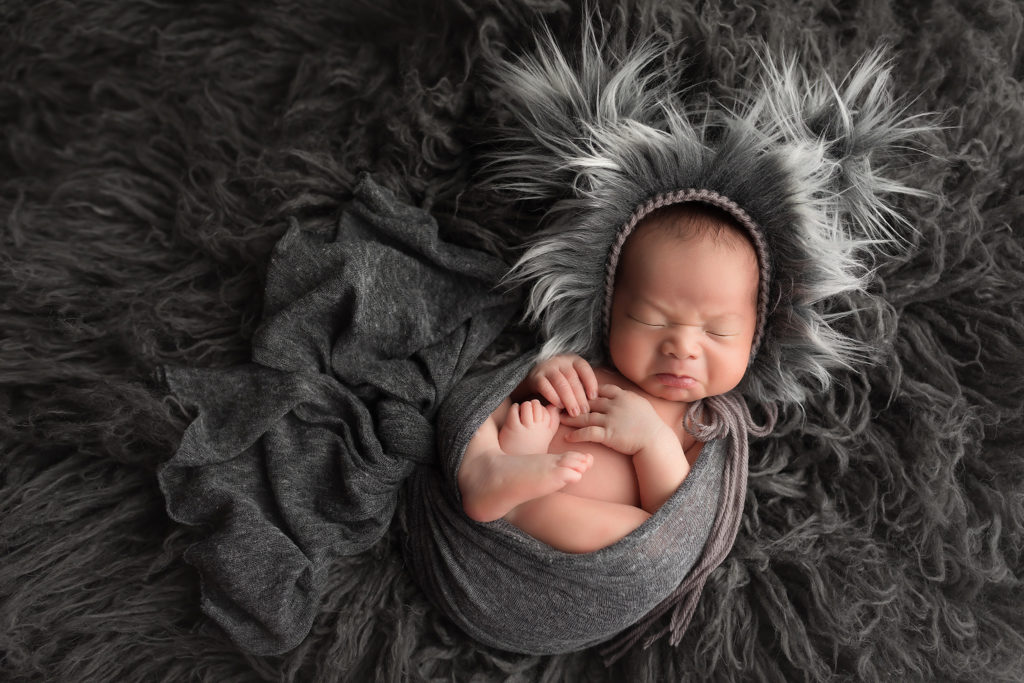 newborn wolf costume dallas photographer