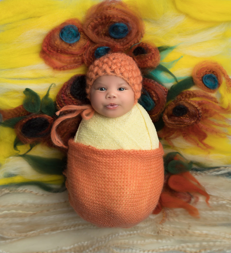 sunflowers by Van Gogh dallas newborn photographer costumed newborns