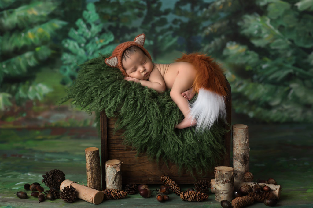 newborn fox costume dallas photographer costumed newborns