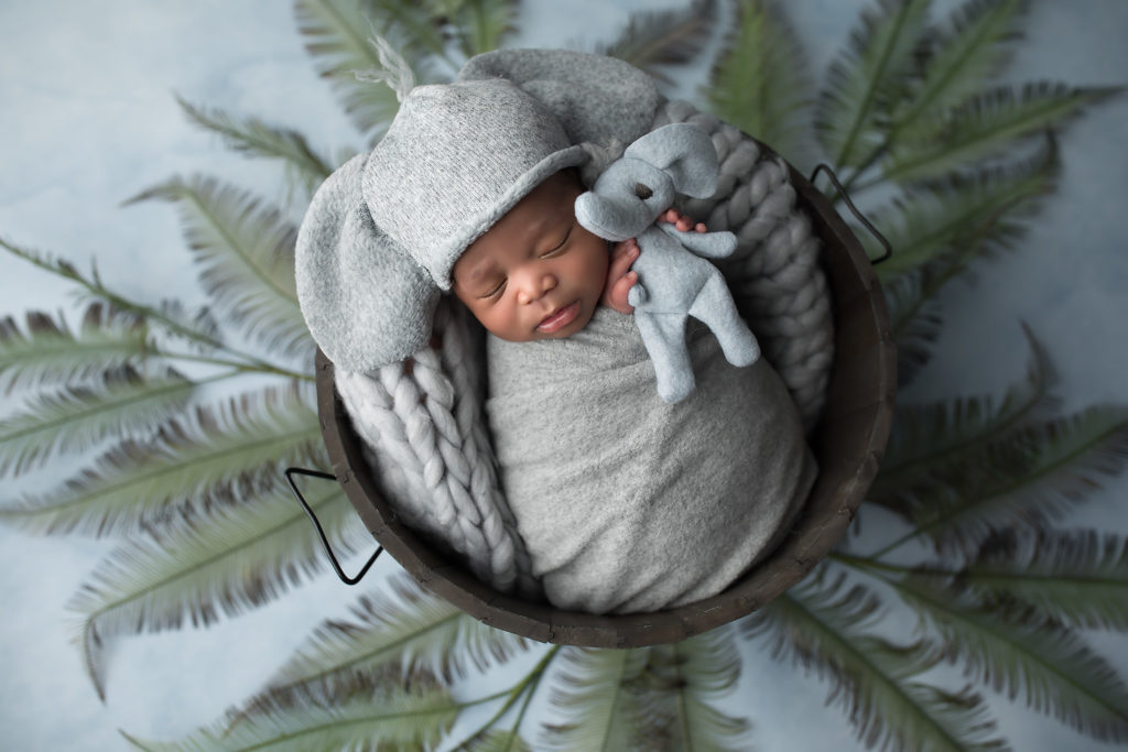 costumed newborns elephant