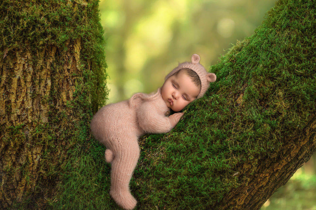 bear in a tree newborn costumes