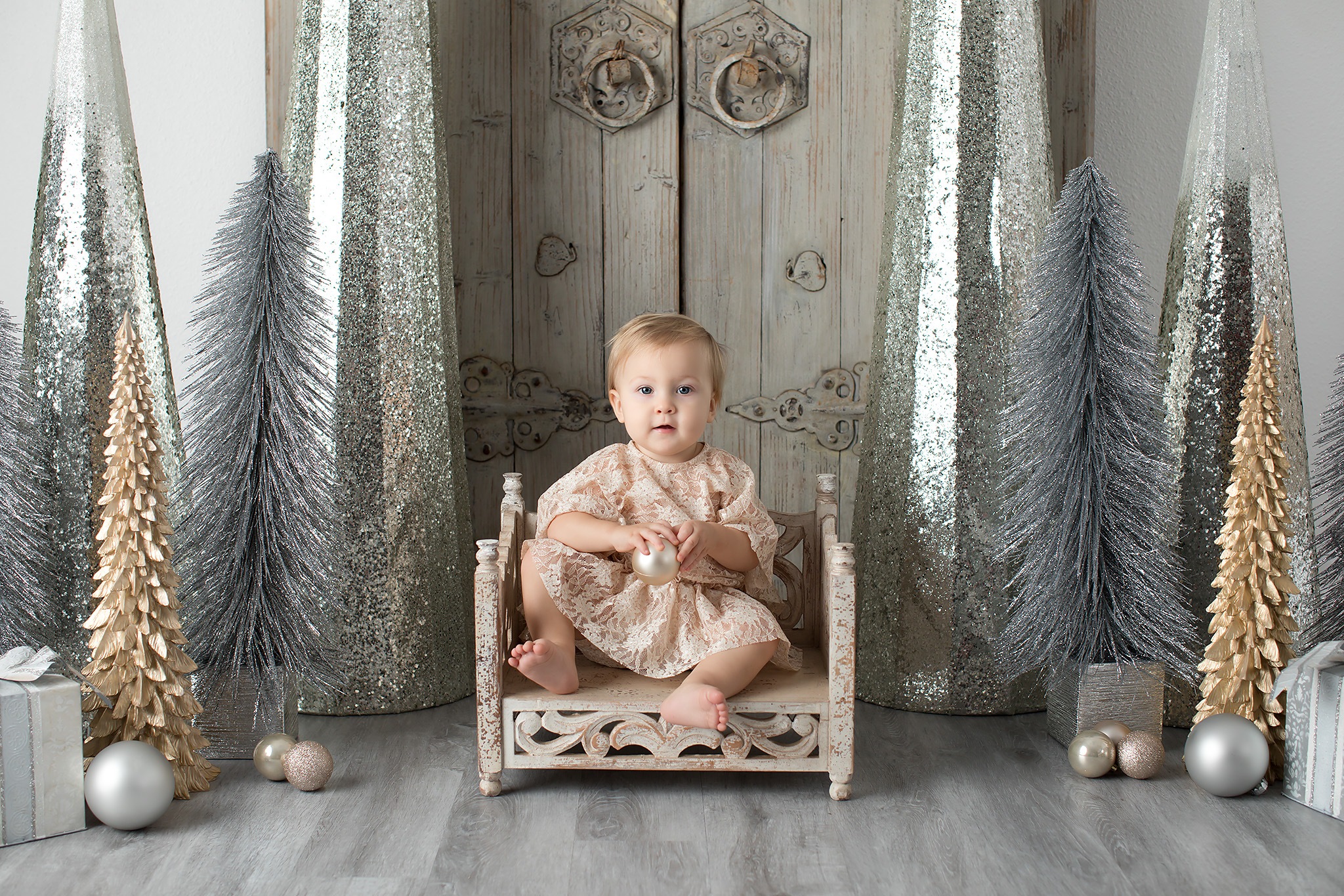 Exclusive Holiday Portrait Sessions